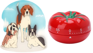 dogs and timer