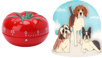 dogs and timer